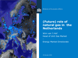 (Future) role of natural gas in the Netherlands