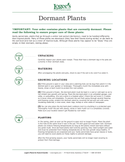 Dormant Plants