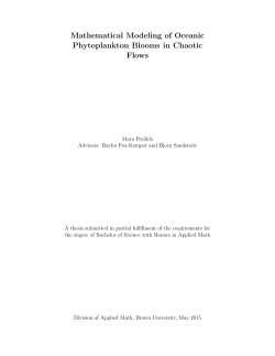 Mathematical Modeling of Oceanic Phytoplankton Blooms in Chaotic