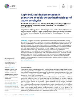 Light-induced depigmentation in planarians models the