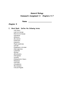 General Biology Homework Assignment 2