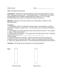 student worksheet