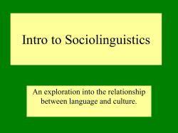 Relationship between Language and Culture
