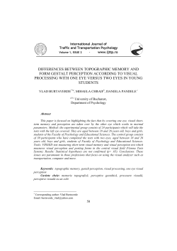 differences between topographic memory and form