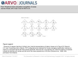 Slide - Journal of Vision
