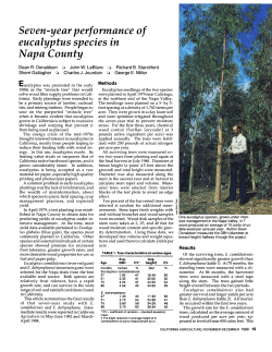 Seven-year performance of eucalyptus species in Napa County