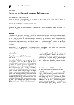 Period four oscillations in chlorophyll a fluorescence