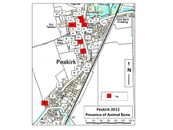 Peakirk 2012 Presence of Animal Bone