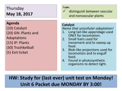 Notes #38: Plants - Duplin County Schools