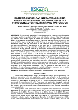 BACTERIA-MICROALGAE INTERACTIONS DURING