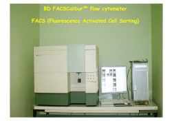 BD FACSCalibur&trade; flow cytometer FACS