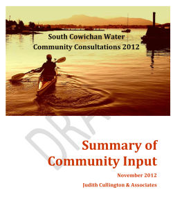 Summary of Community Input - Cowichan Valley Regional District
