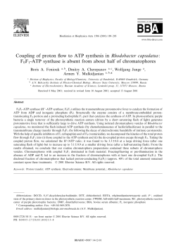 Coupling of proton &pound;ow to ATP synthesis in Rhodobacter capsulatus