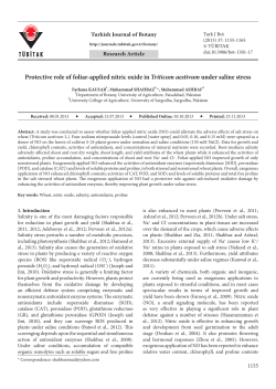 Protective role of foliar-applied nitric oxide in Triticum aestivum
