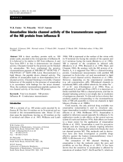 Amantadine blocks channel activity of the transmembrane segment