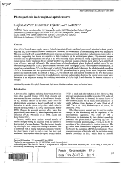 Photosynthesis in drought-adapted cassava