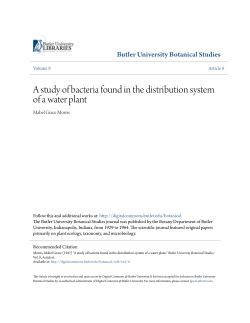 A study of bacteria found in the distribution system of a water plant