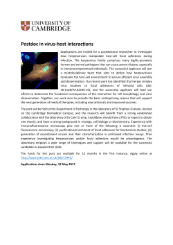 Postdoc in virus-host interactions