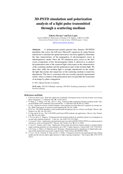 3D-PSTD simulation and polarization analysis of a light pulse