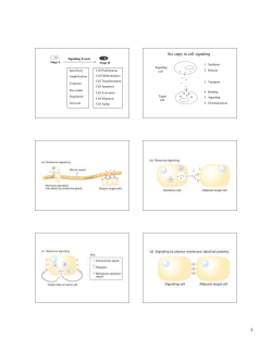 Six steps in cell signaling