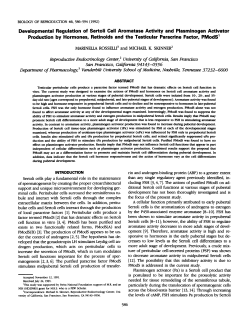 Developmental Regulation of Sertoli Cell Aromatase Activity and