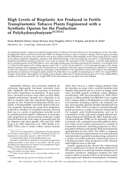 High Levels of Bioplastic Are Produced in Fertile