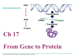 DNA RNA Protein