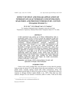 effect of split and foliar application of nitrogen on leaf nitrogen