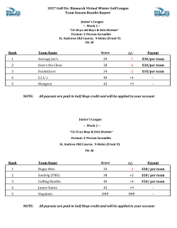 2017 Golf Etc. Bismarck Virtual Winter Golf League Team Season