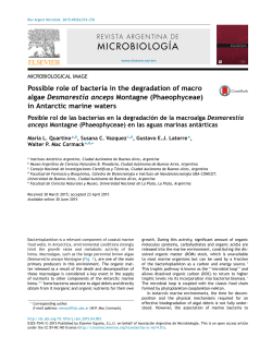 Possible role of bacteria in the degradation of macro algae