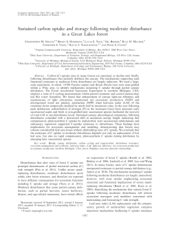 Sustained carbon uptake and storage following moderate