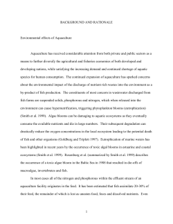 Characterization of the effluent from an intensive marine recycling