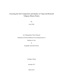 AmyWille - Dspace@Carthage