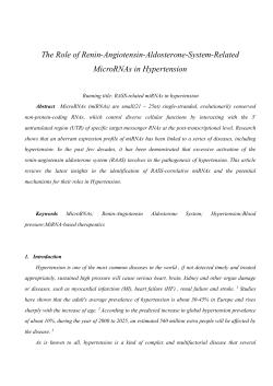 The Role of Renin-Angiotensin-Aldosterone-System