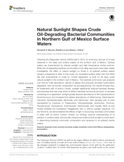 Natural Sunlight Shapes Crude Oil-Degrading Bacterial
