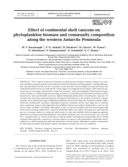 Effect of continental shelf canyons on phytoplankton biomass and