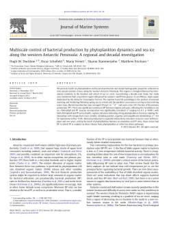 Multiscale control of bacterial production by