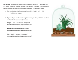 Background: a plant is placed inside of a sealed bell jar (right). The