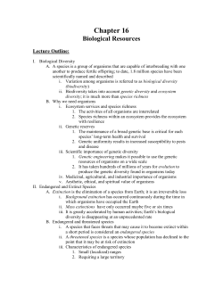 chapter 16 outline