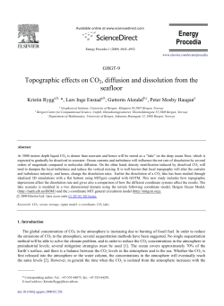 Topographic effects on CO2, diffusion and dissolution - BORA