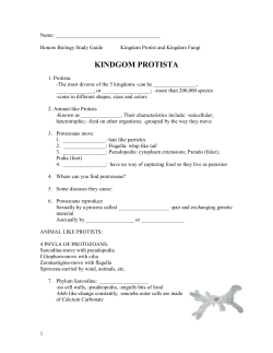 kindgom fungi - Brewton City Schools