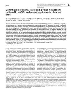 Contribution of serine, folate and glycine metabolism to the ATP