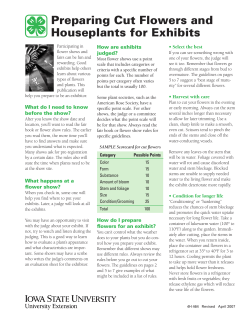 Preparing Cut Flowers and Houseplants for Exhibits