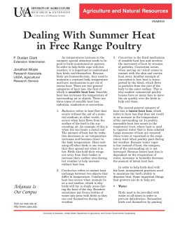 Dealing With Summer Heat in Free Range Poultry