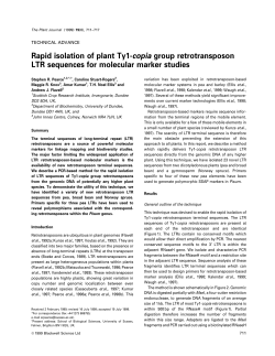 Rapid isolation of plant Ty1-copia group retrotransposon LTR