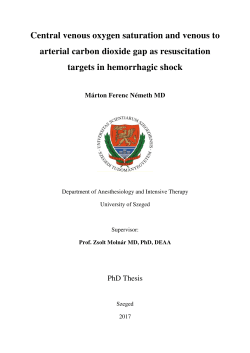 Nemeth Marton-PHD-Tezisfuzet-ENG