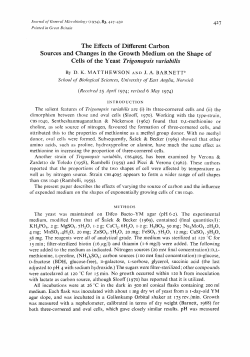The Effects of Different Carbon Sources and Changes
