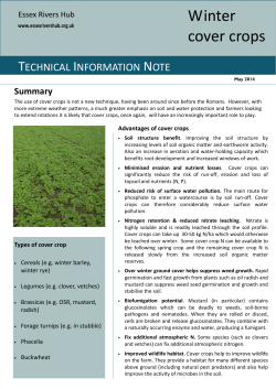Cover Crop Technical Info Sheet