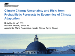 Climate Change Uncertainty and Risk: from
