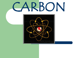 Carbon Cycle